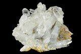Colombian Quartz Crystal Cluster - Colombia #278159-1